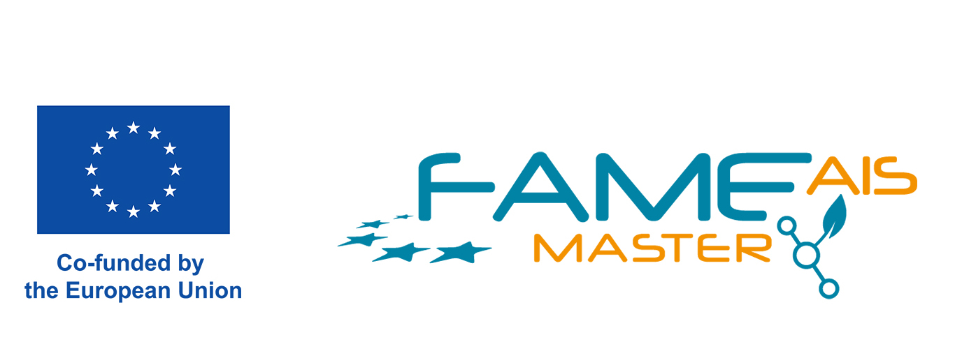 FAME Msster